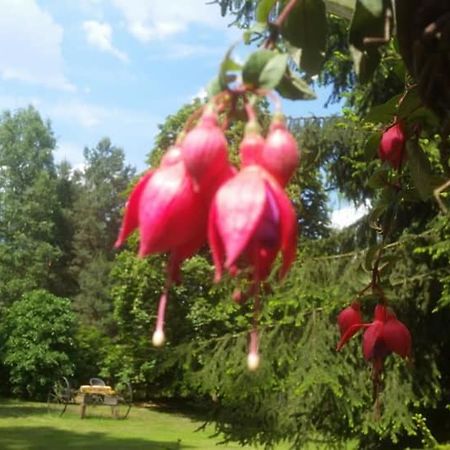 Albertowka Trzciel Екстериор снимка