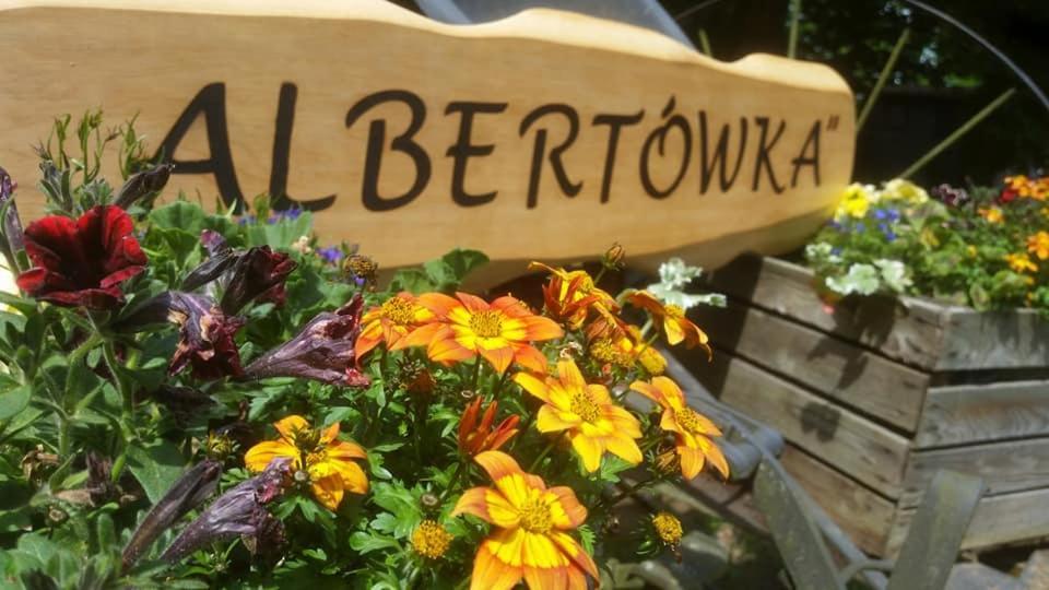 Albertowka Trzciel Екстериор снимка